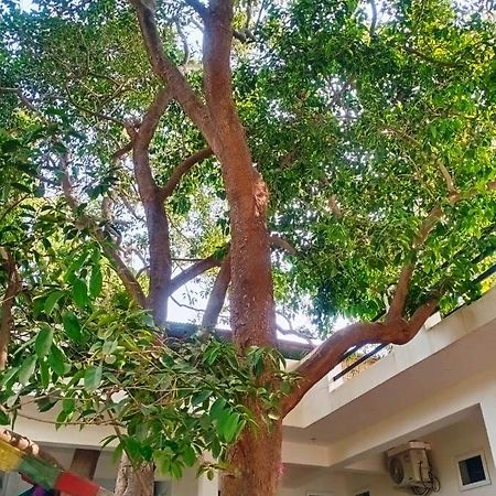 Green Hub Pushkar Villa Екстериор снимка