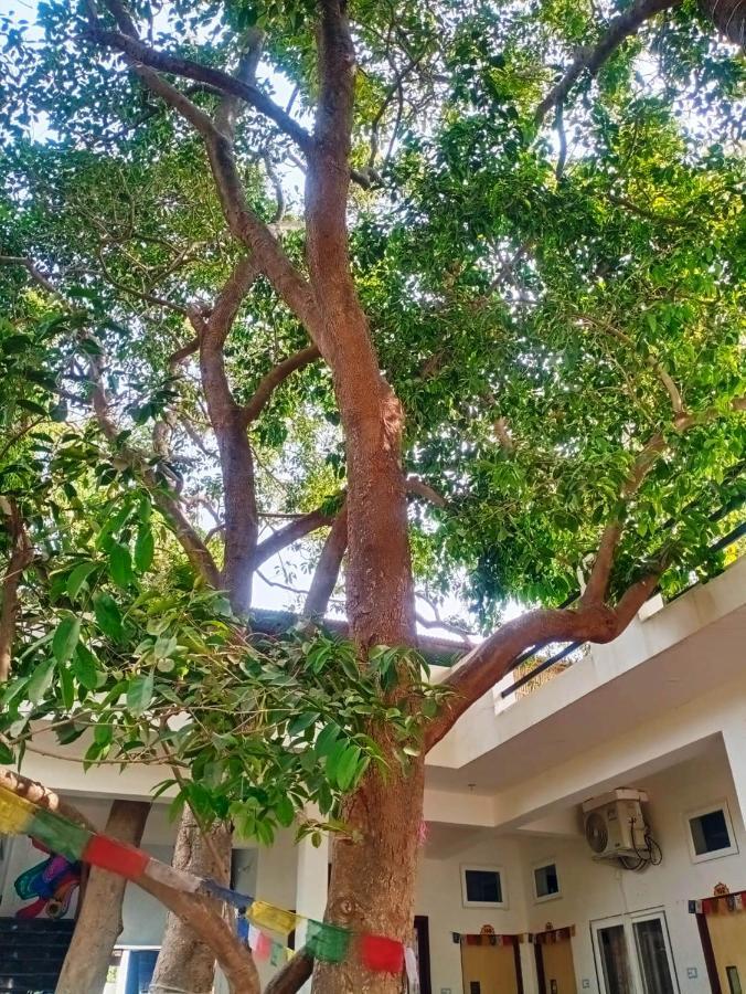 Green Hub Pushkar Villa Екстериор снимка